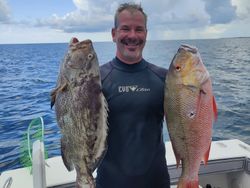 Grouper And Snapper Combo Reeled In Florida